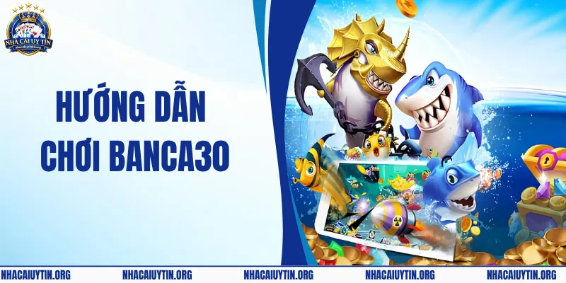 Khám Phá Hướng Dẫn Chơi Banca30 Chi Tiết Cho Thành Viên Mới